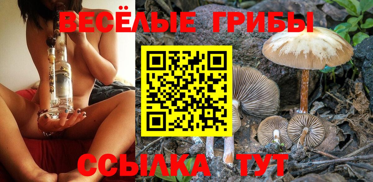 Псилоцибиновые грибы MAGIC MUSHROOMS  Вход с VPN  Сибай 